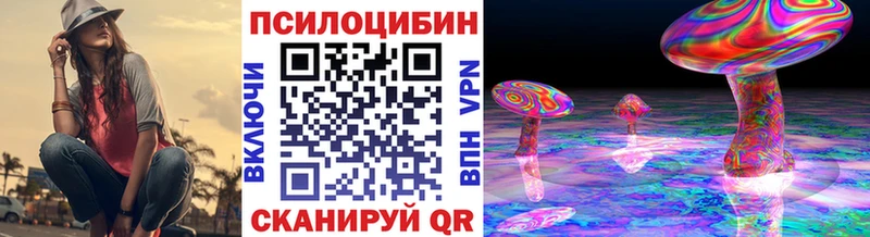 Купить где  Партизанск  Галлюциногенные грибы GOLDEN TEACHER 